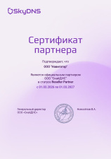 Официальный партнер SkyDNS