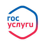 Необходимая идентификация домена через Госуслуги